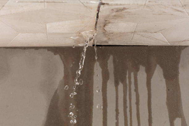 Professional Flood Damage Cleanup technician working in Meadowlands, MN